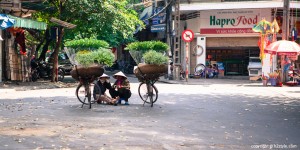 2012, Vietnam (37)