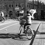 2012, Amsterdam (43)