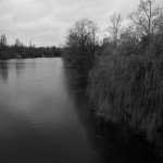 20110202-_MG_1819