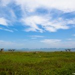 2012, Vietnam (72)