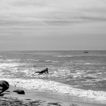 La Jolla (11)