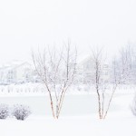 WinterStory_0005