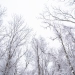 WinterStory_0007