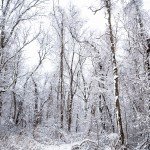 WinterStory_0006