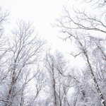 WinterStory_0007